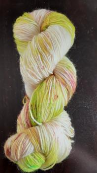 dicke Socke Rosenfrosch